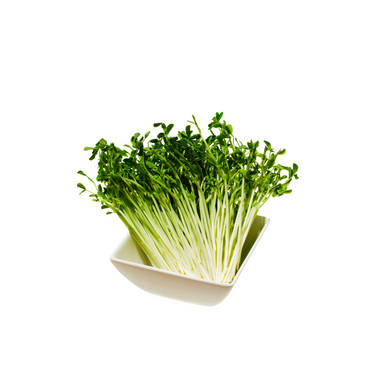 Snow Pea Shoots